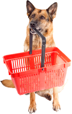Dog holding shopping basket
