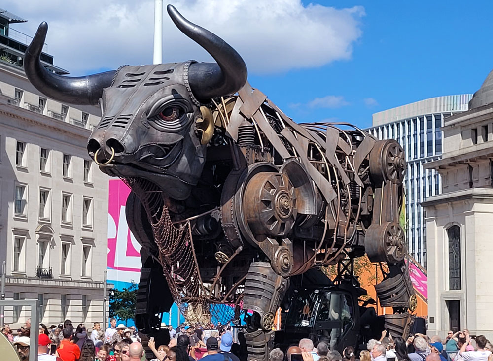 The Commonwealth Games bull