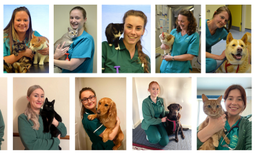Vet Nurse Awareness Month