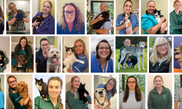 International Women's Day