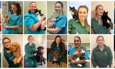 Orchard Vets nursing team celebrating Vet Nurse Awareness Month