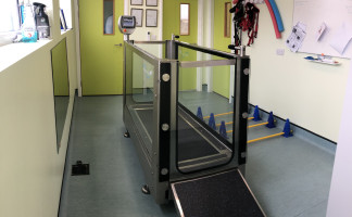 Pet Physiotherapy at Orchard Vets