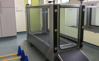 Pet Physiotherapy at Orchard Vets