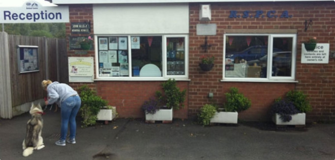 RSPCA
