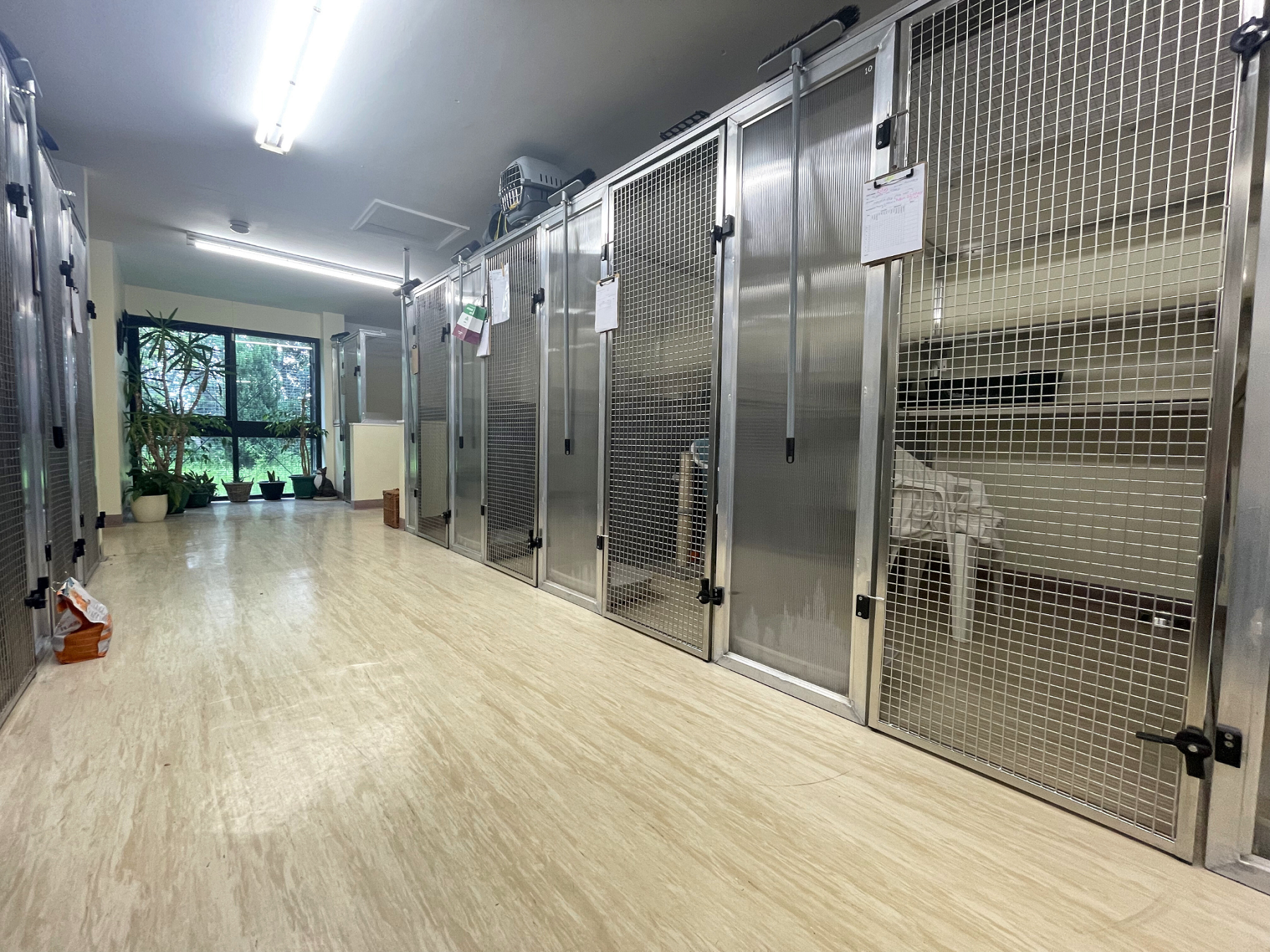 Cattery Pen