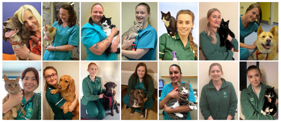 Orchard Vets nursing team celebrating Vet Nurse Awareness Month